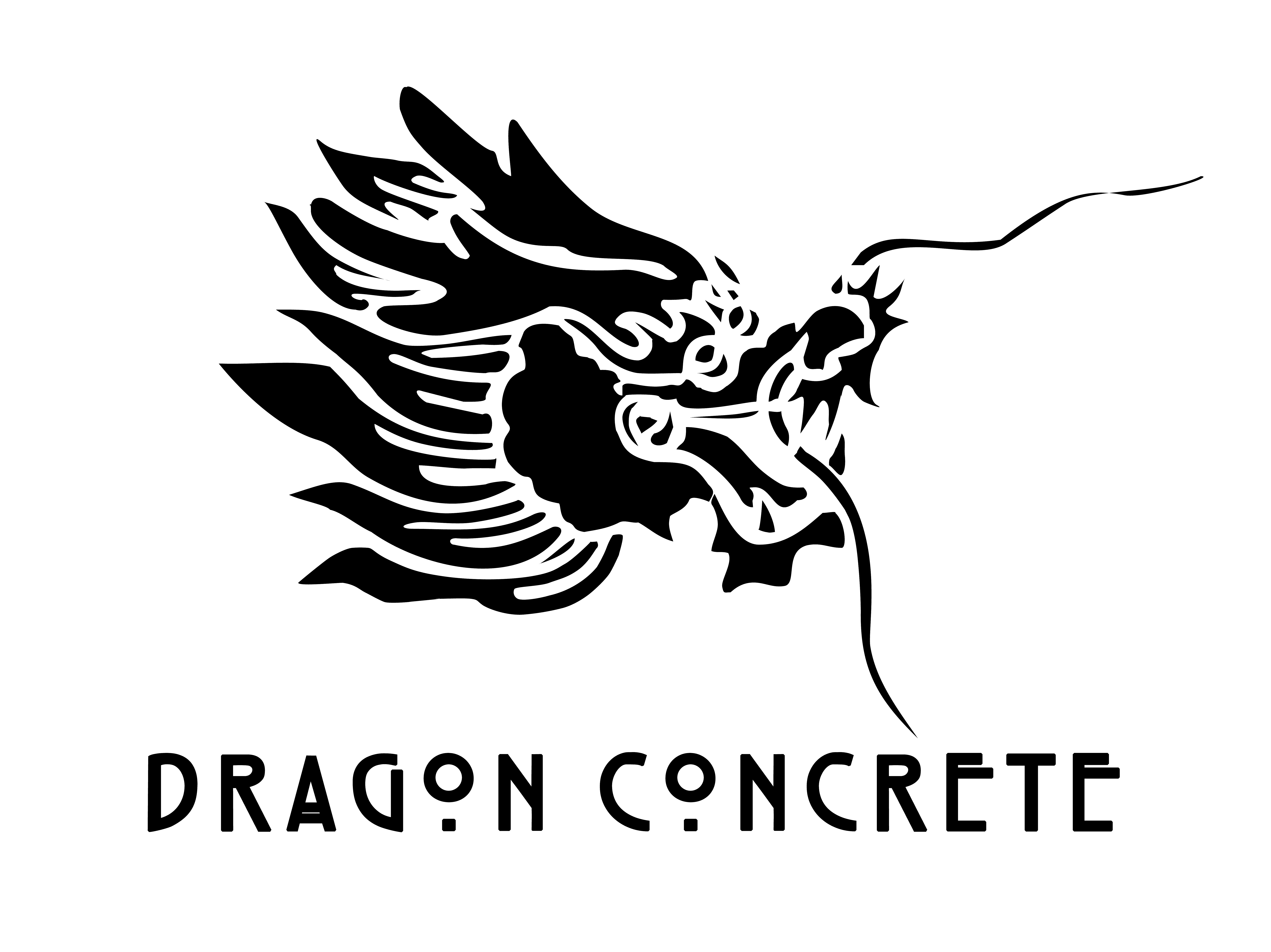 Dragon Concrete LLC